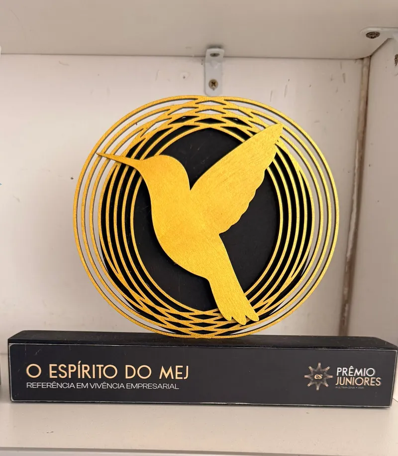 O troféu O Espírito do MEJ, Referência em Vivência Empresarial, Prêmio Juniores 2025.